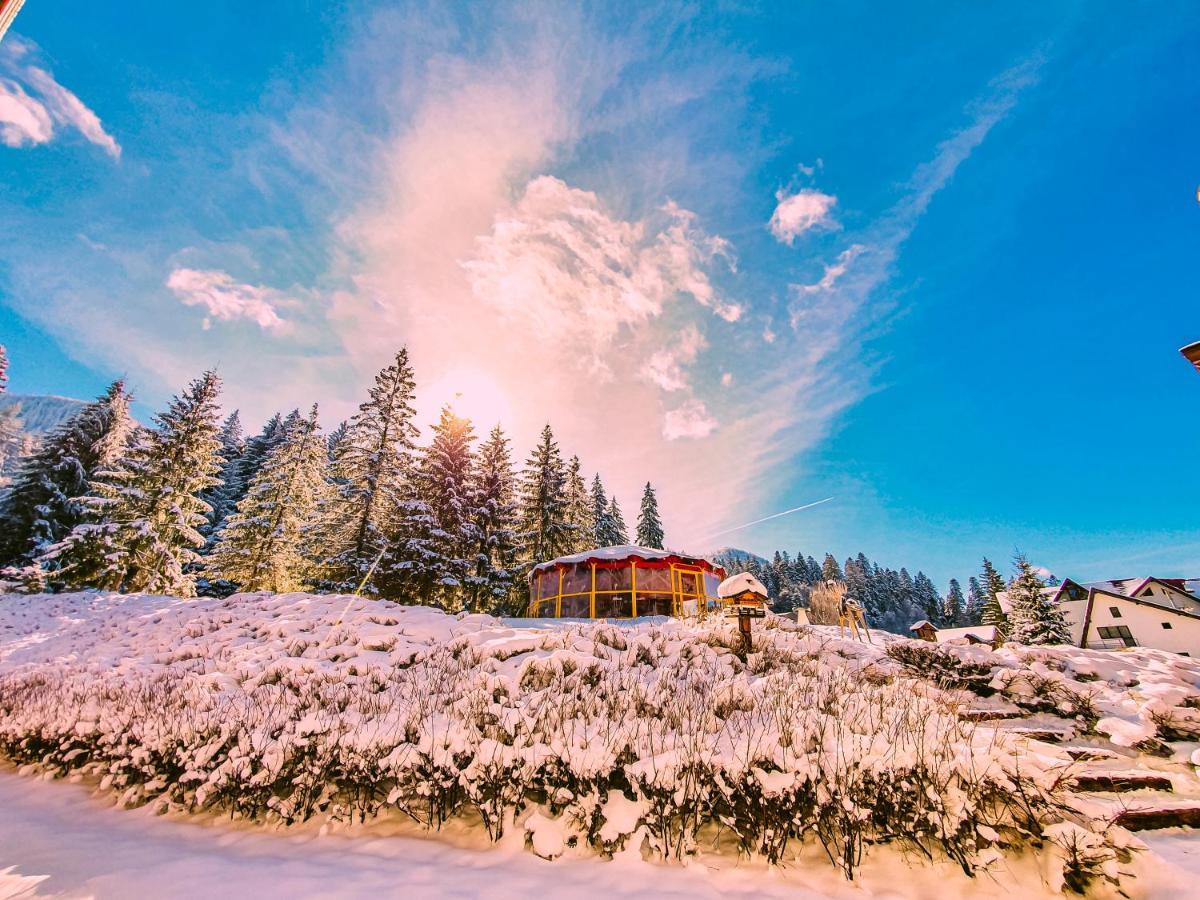 Teleferic Grand Hotel Poiana Brașov Zewnętrze zdjęcie